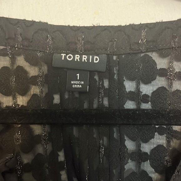 Size 1, Torrid, Long Sleeve Blouse - Picture 2 of 4